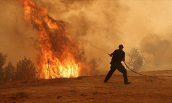 Güneşköy’de Trafo Yangını: Narenciye Bahçesi Zarar Gördü