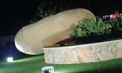 Larnaka’da Patates Heykeli Devrildi