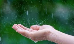 En fazla yağış Taşpınar’da kaydedildi