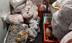 Gazimağusa’da restoran mühürlendi, gıdalara el konuldu