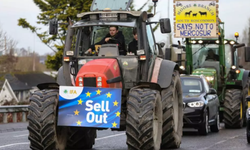 AB, MERCOSUR’u 1 Mayıs’ta başlatıyor