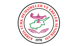 Hemşireler ve ebelerden ek mesai için eylem uyarısı