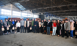 Özçınar, Narenciye Fabrikalarında Kadın Emekçilerle Buluştu