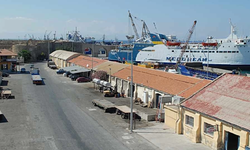 Narenciye İhracatçı Birlikleri: "Limanlarda mesai yetersizliği ihracatı engelliyor"
