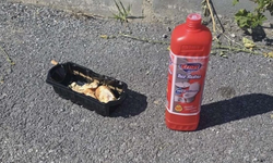 Metehan’da sokak hayvanlarına zehirleme girişimi iddiası