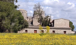 Kültürel Miras Teknik Komitesi, St. Barnabas Manastırı’nda bulunan kilise binasında çalışma başlattı