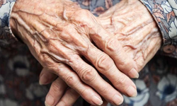 D vitamini düzeyi ile Alzheimer biyobelirteçleri arasında ilişki olabileceği belirlendi