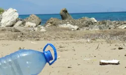 GKRY AB'de plastik şişe kullanımında en yüksek sıralarda yer alıyor