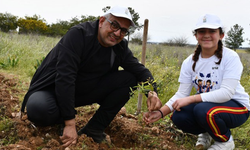 Mesarya Belediyesi 1000 Fidanı Toprakla Buluşturdu