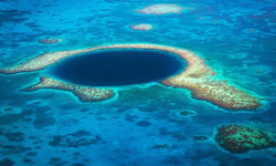 Mercan Denizi'nde 100'den fazla derin deniz türü keşfedildi