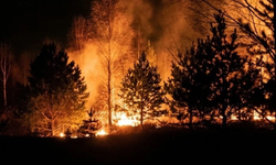 ABD’de orman yangınları: 120’den fazla ev kullanılamaz