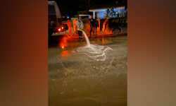 BELEDİYE EKİPLERİ GECE BOYUNCA DIŞKI İLE BOYANAN YOLLARI YIKADILAR