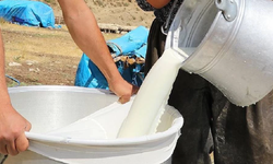 Çiğ süt bedelleri ödendi