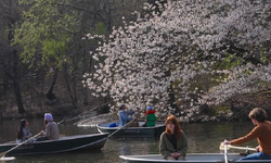 Mart 2026, dünyada kayıtlardaki en sıcak dördüncü mart ayı oldu