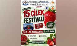 15. Çilek Festivali 9-10 Mayıs tarihlerinde yapılacak