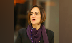 Derya: “Tüp bebek merkezlerinde denetimsizlik son bulmalıdır”