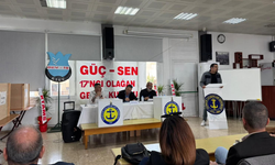 Gümrük Çalışanları Sendikası Başkanı yeniden Ediz kanatlı oldu