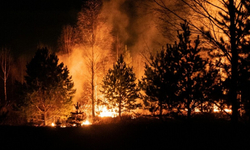 ABD’de orman yangını: yüzlerce ev zarar gördü