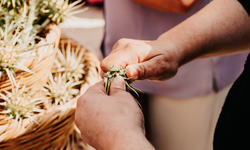 Yiğitler Gafgarıt Festivali 5 Nisan’da yapılıyor