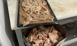 Gazimağusa Belediyesi: “800 kilo et ürünü imha edildi”