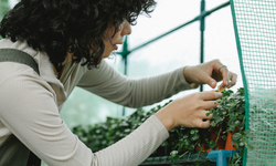 Tarım-gıdada kadınlara destek programı başlıyor