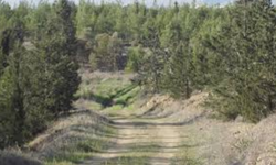 Yangınla mücadele ihaleleri akrabalara mı gitti?