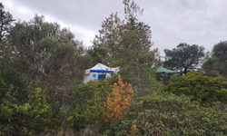 Yeniboğaziçi kamp alanı hakkında Diran konuştu