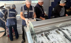 Gönyeli ve Alayköy’de su ürünleri denetimi