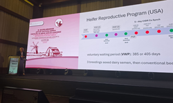 Bakan Çavuş: Hayvancılıkta bilim ve inovasyon şart