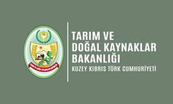 Küçükbaş hayvan başı destek ödemesi yapıldı