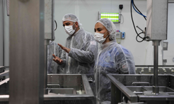 Değirmenlik Akıncılar Belediyesi Sağlık Şubesi, 81 iş yerini denetledi