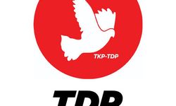 TDP: “Medya özgür değilse, toplum da özgür değildir”
