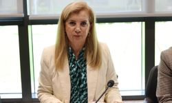 Yurt dışındaki itibari paraların ekonomiye kazandırılmasına ilişkin düzenlemeler Genel Kurul’a sevk ed