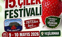 “15. Çilek Festivali” hafta sonu yapılıyor