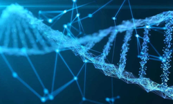 180 yıldır kayıp olan denizcilerin kimlikleri DNA ile belirlendi