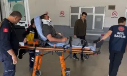 Kurban kesimi sırasında 13 bin 513 kişi hastanelik oldu