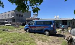 Yılanı Vurmak İsterken 5 Kişiyi Yaraladı