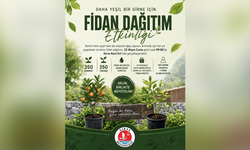Girne Belediyesi abonelerine ücretsiz fidan dağıtacak