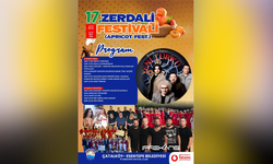Çatalköy-Esentepe’de festival heyecanı