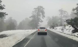 Trodos’ta baharda kar şaşkınlığı