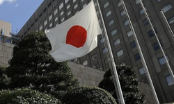 Japonya ile Güney Afrika işbirliğini artırıyor