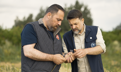 Arpa çeşit adaylarının hasadı yapıldı