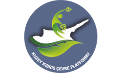 Çevre Platformu’ndan kaçak yapılaşma uyarısı