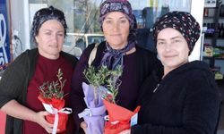 İSKELE BELEDİYESİ, ANNELERE, SAKSIDA ZEYTİN AĞACI ARMAĞAN EDİYOR