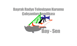 BAY-SEN’den BRTK Yasa’nın kabul edilmesine ilişkin açıklama