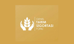 Patates Üreticilerine Ek Süre
