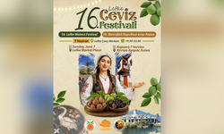 Lefke Ceviz Festivali, pazar günü yapılacak