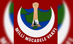 Milli Mücadele Vakfı, Kıbrıs sorunu konusunda eleştirilerde bulundu