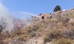 Taşkent’le Güngör arasındaki yangın söndürüldü