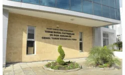 Çiçek hastalığından zarar gören üreticilere 282 bin TL tazminat ödendi